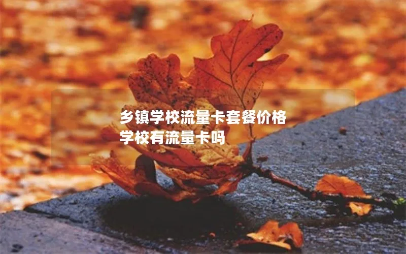 乡镇学校流量卡套餐价格 学校有流量卡吗