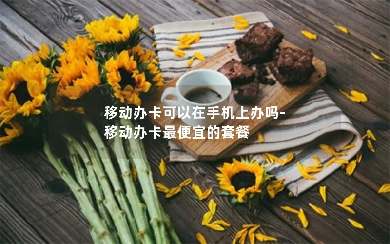 移动办卡可以在手机上办吗-移动办卡最便宜的套餐