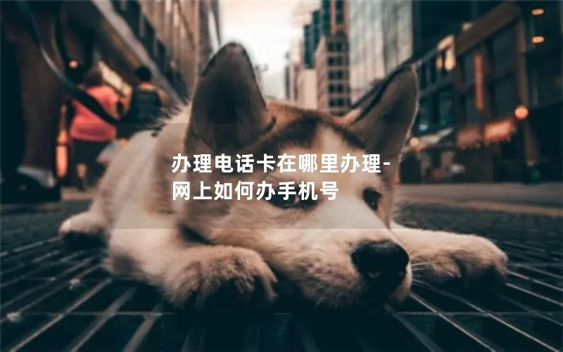 办理电话卡在哪里办理-网上如何办手机号