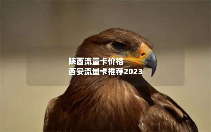 陕西流量卡价格 西安流量卡推荐2023