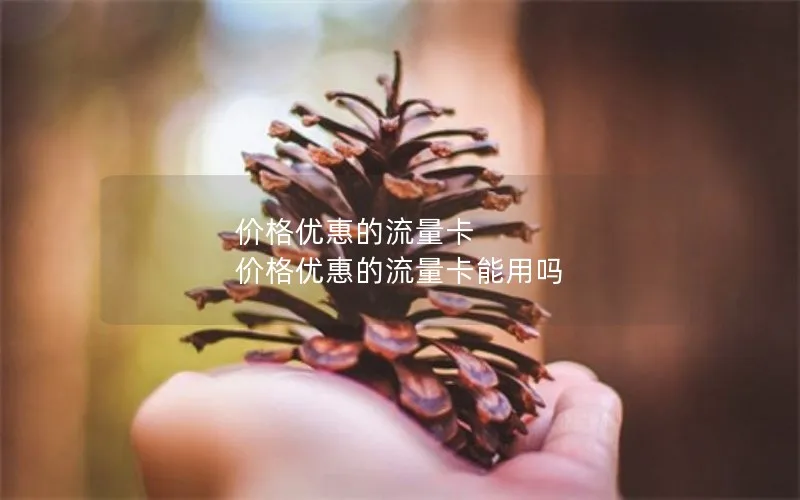 价格优惠的流量卡 价格优惠的流量卡能用吗