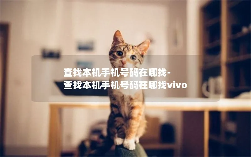 查找本机手机号码在哪找-查找本机手机号码在哪找vivo