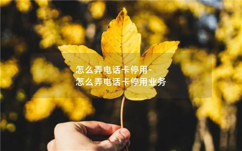 怎么弄电话卡停用-怎么弄电话卡停用业务