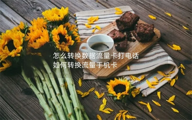 怎么转换数据流量卡打电话 如何转换流量手机卡