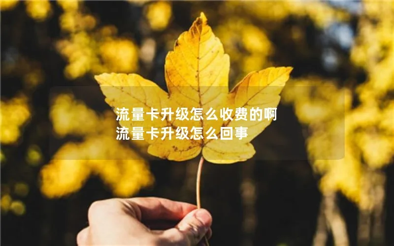 流量卡升级怎么收费的啊 流量卡升级怎么回事