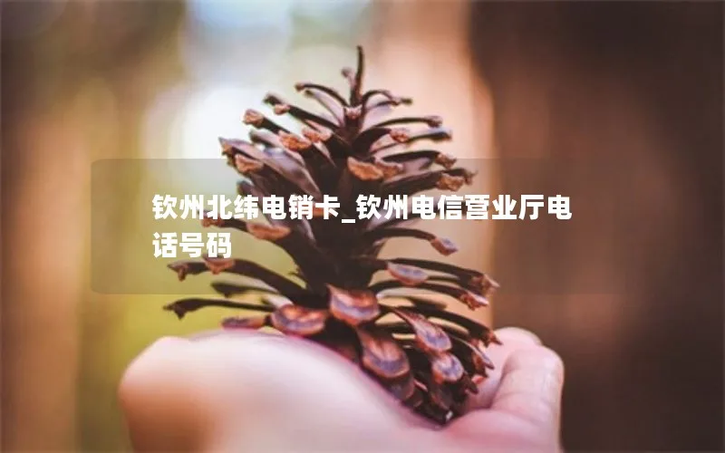 钦州北纬电销卡_钦州电信营业厅电话号码