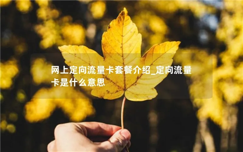 网上定向流量卡套餐介绍_定向流量卡是什么意思