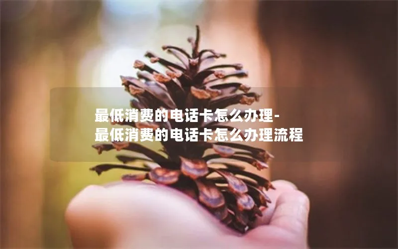 最低消费的电话卡怎么办理-最低消费的电话卡怎么办理流程