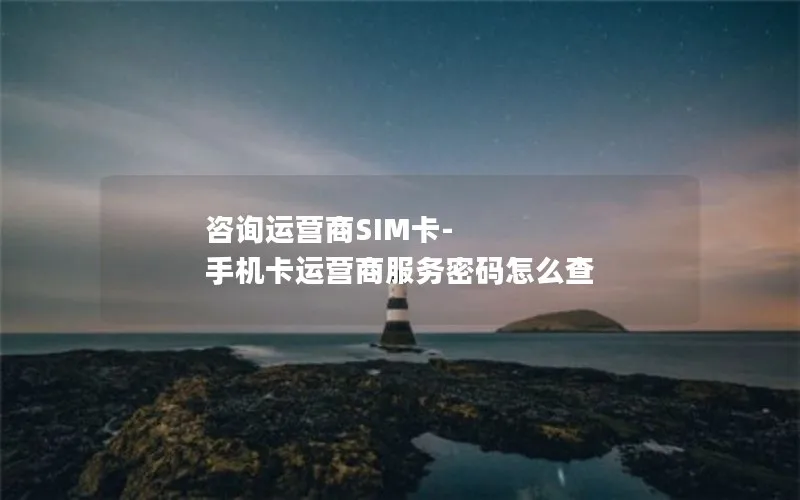 咨询运营商SIM卡-手机卡运营商服务密码怎么查