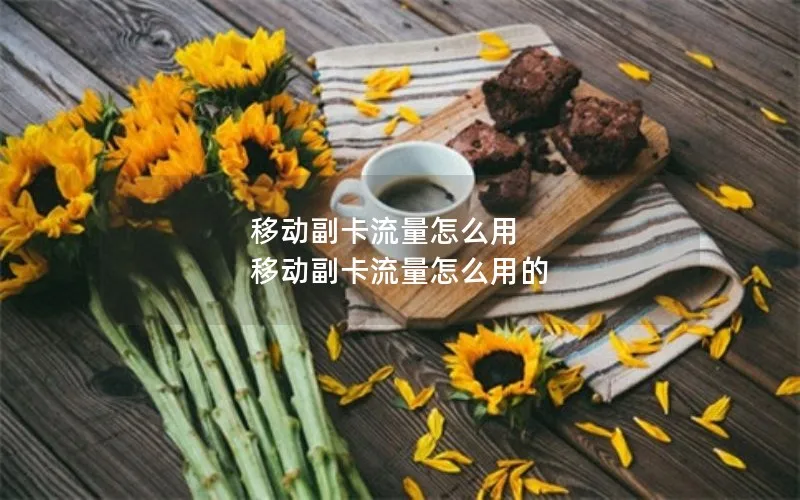 移动副卡流量怎么用 移动副卡流量怎么用的