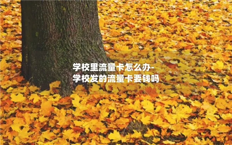 学校里流量卡怎么办-学校发的流量卡要钱吗