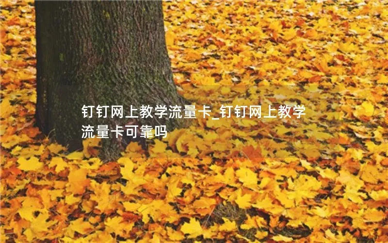 钉钉网上教学流量卡_钉钉网上教学流量卡可靠吗