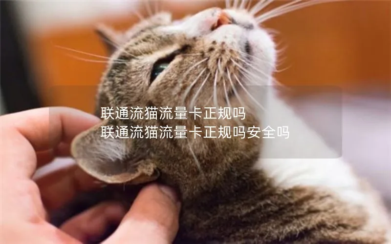 联通流猫流量卡正规吗 联通流猫流量卡正规吗安全吗