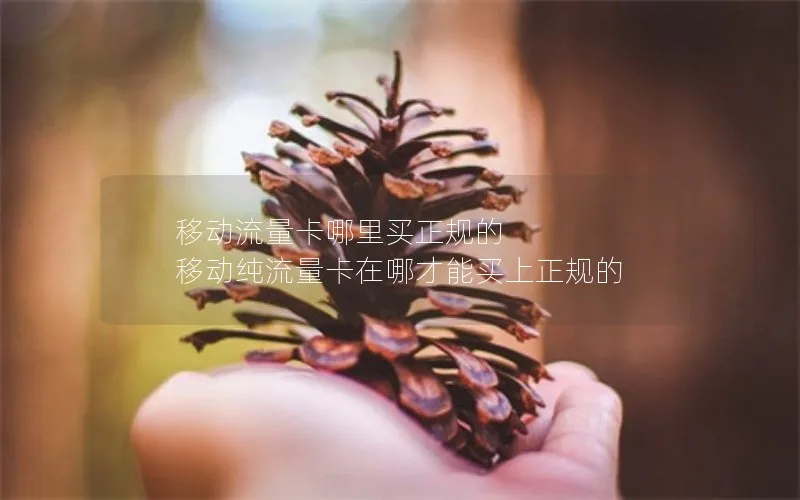 移动流量卡哪里买正规的 移动纯流量卡在哪才能买上正规的