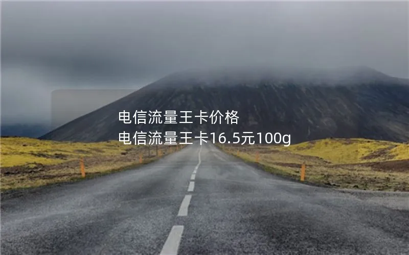 电信流量王卡价格 电信流量王卡16.5元100g