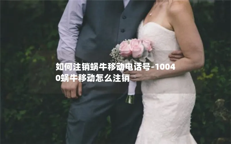 如何注销蜗牛移动电话号-10040蜗牛移动怎么注销