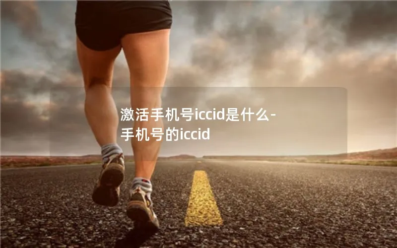 激活手机号iccid是什么-手机号的iccid