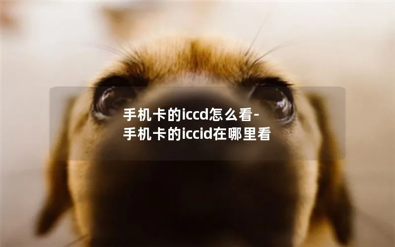 手机卡的iccd怎么看-手机卡的iccid在哪里看