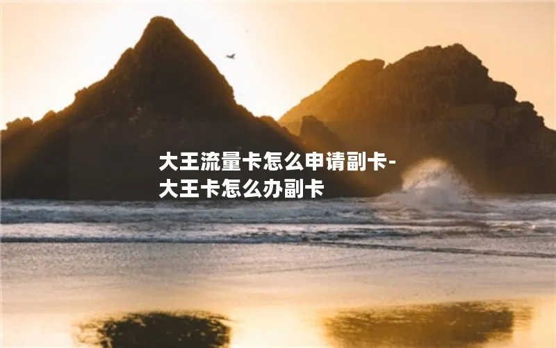 大王流量卡怎么申请副卡-大王卡怎么办副卡