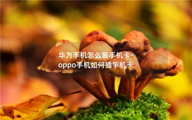 华为手机怎么装手机卡-oppo手机如何插手机卡