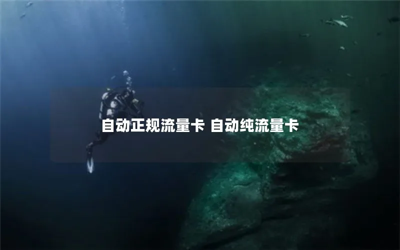 自动正规流量卡 自动纯流量卡