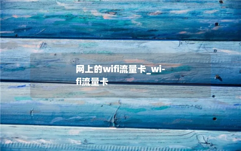 网上的wifi流量卡_wi-fi流量卡