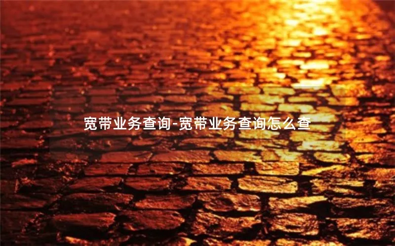 宽带业务查询-宽带业务查询怎么查