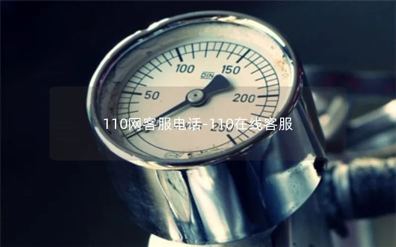 110网客服电话-110在线客服