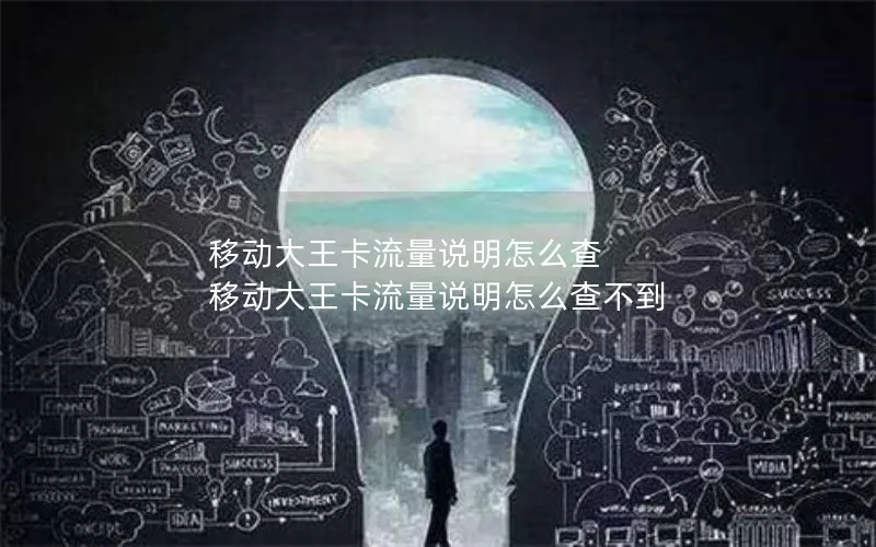 移动大王卡流量说明怎么查 移动大王卡流量说明怎么查不到