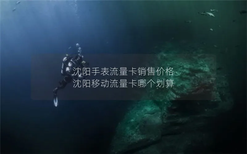 沈阳手表流量卡销售价格 沈阳移动流量卡哪个划算