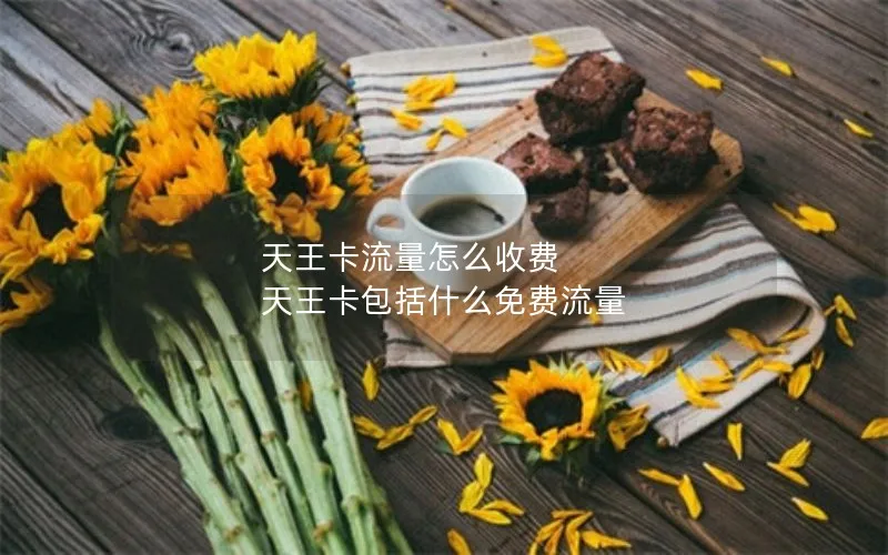 天王卡流量怎么收费 天王卡包括什么免费流量