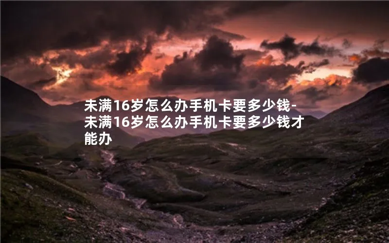 未满16岁怎么办手机卡要多少钱-未满16岁怎么办手机卡要多少钱才能办