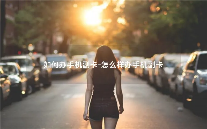 如何办手机副卡-怎么样办手机副卡