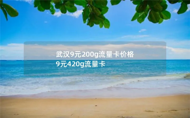 武汉9元200g流量卡价格 9元420g流量卡