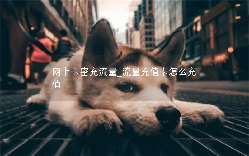 网上卡密充流量_流量充值卡怎么充值