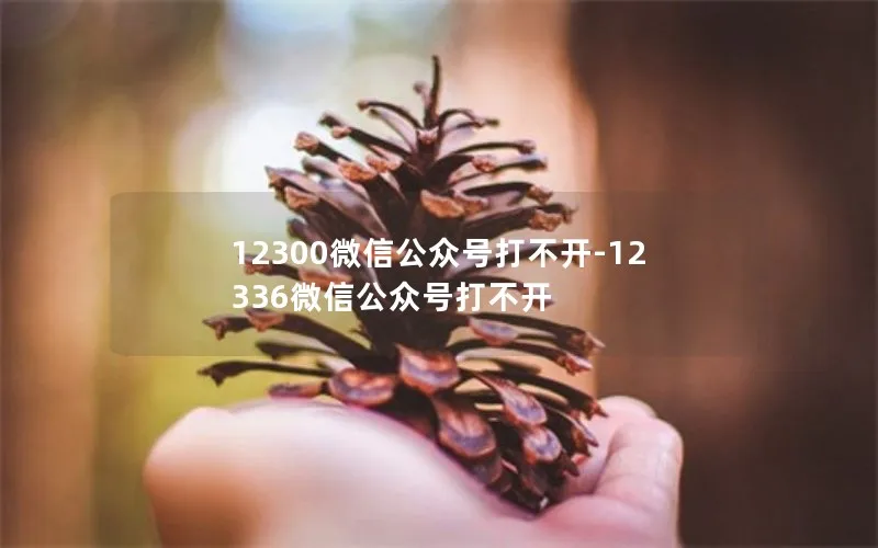 12300微信公众号打不开-12336微信公众号打不开