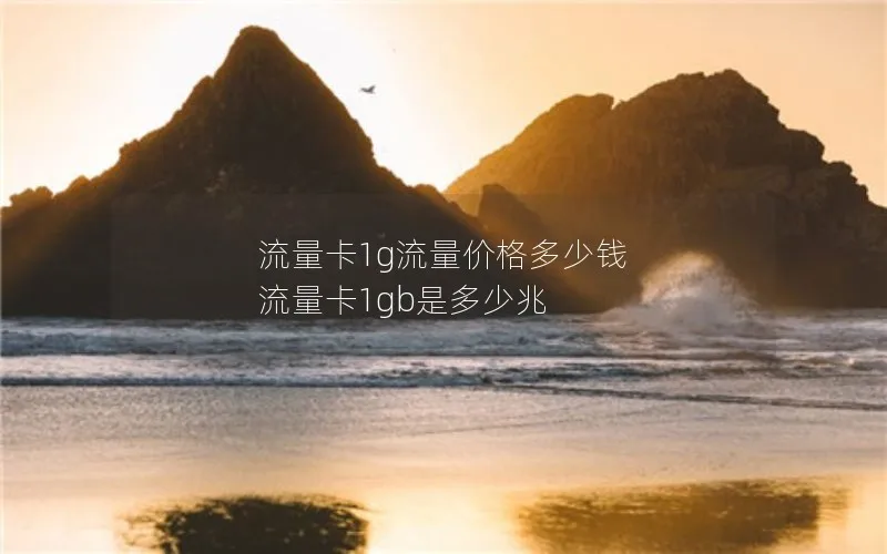 流量卡1g流量价格多少钱 流量卡1gb是多少兆