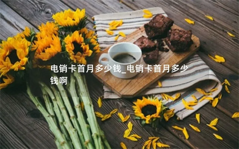 电销卡首月多少钱_电销卡首月多少钱啊