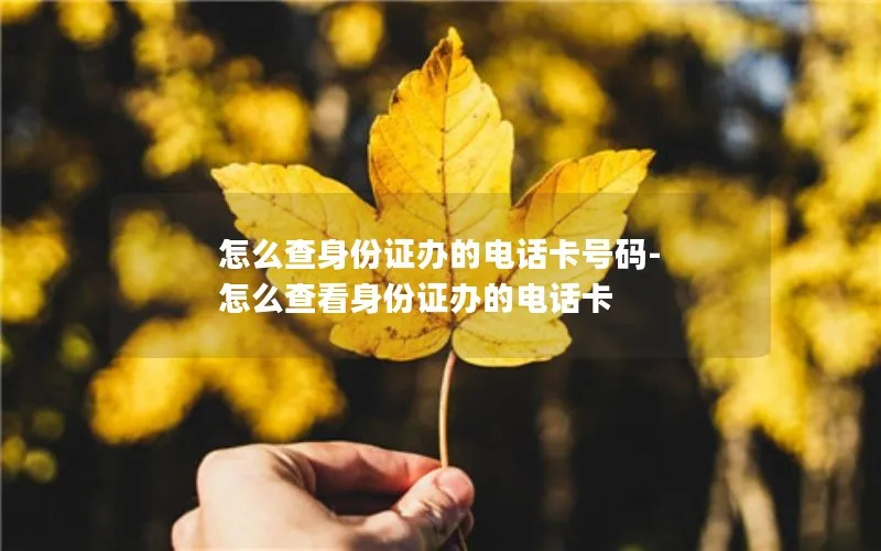 怎么查身份证办的电话卡号码-怎么查看身份证办的电话卡