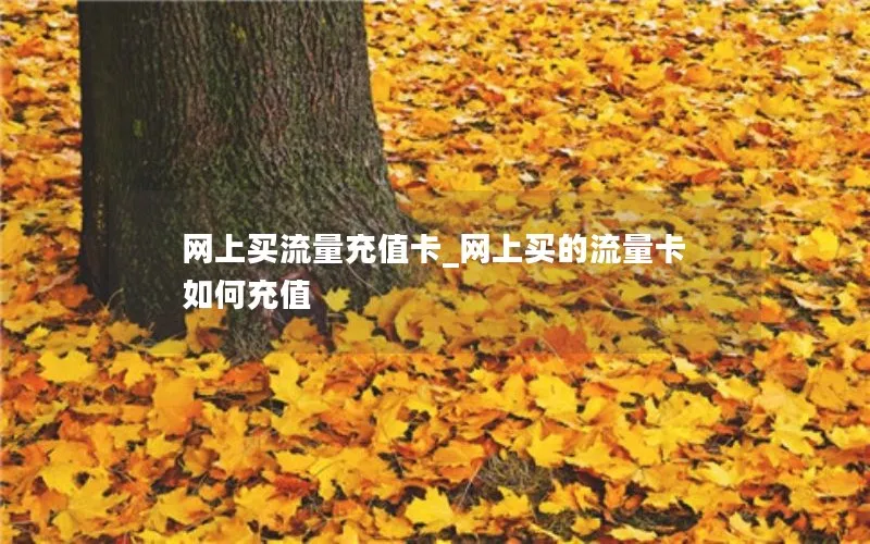 网上买流量充值卡_网上买的流量卡如何充值