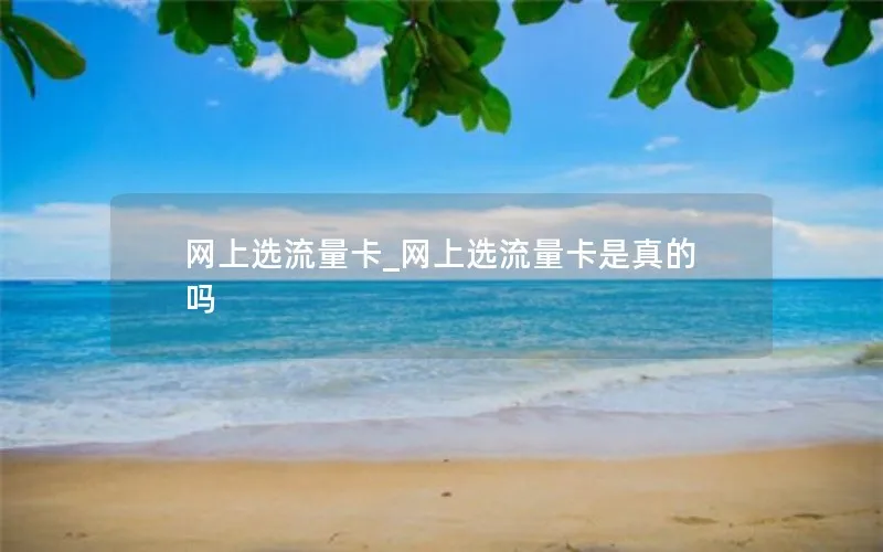 网上选流量卡_网上选流量卡是真的吗