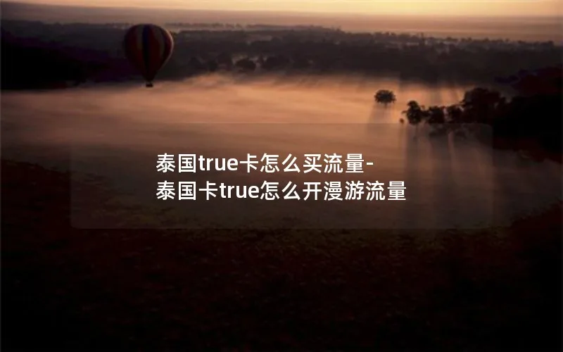 泰国true卡怎么买流量-泰国卡true怎么开漫游流量