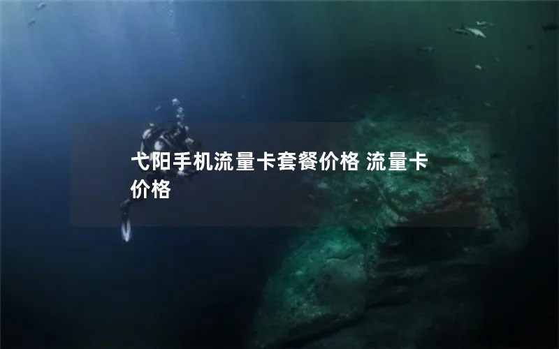 弋阳手机流量卡套餐价格 流量卡 价格