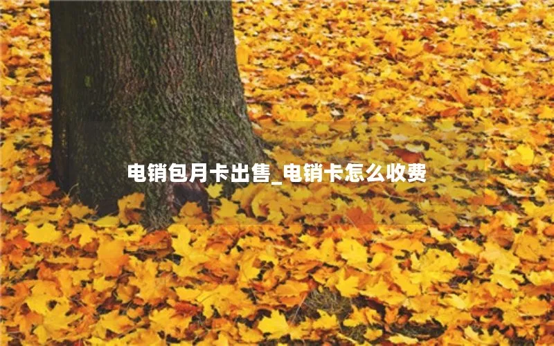 电销包月卡出售_电销卡怎么收费