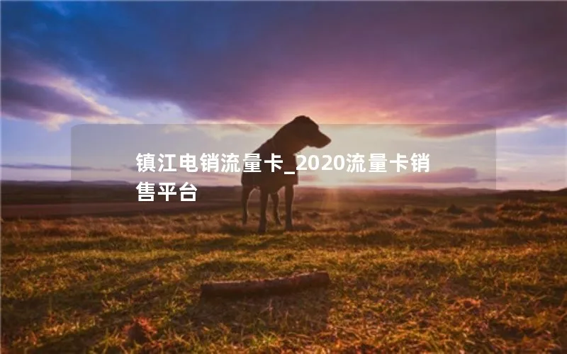 镇江电销流量卡_2020流量卡销售平台