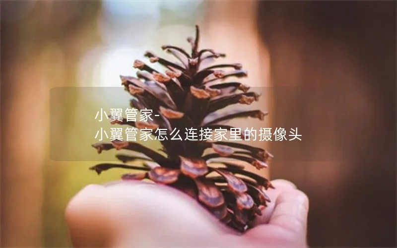 小翼管家-小翼管家怎么连接家里的摄像头