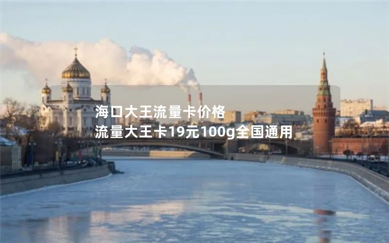 海口大王流量卡价格 流量大王卡19元100g全国通用