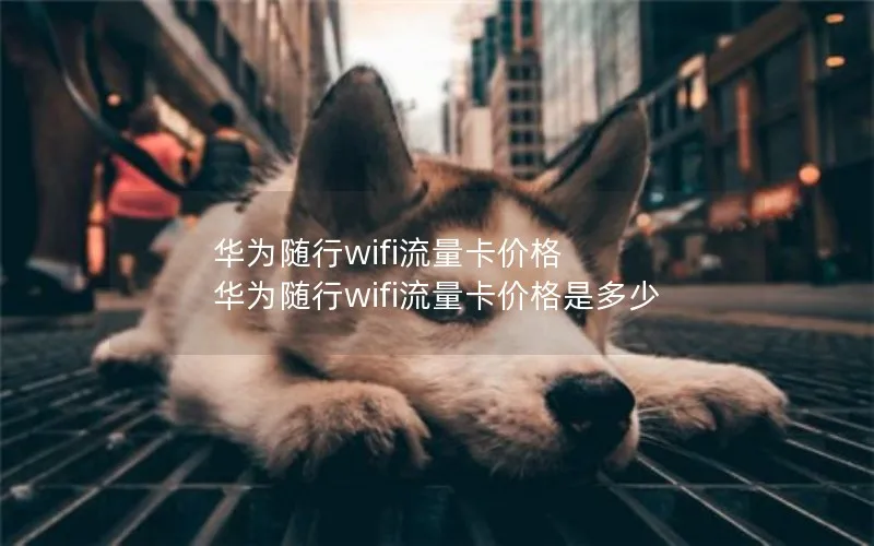 华为随行wifi流量卡价格 华为随行wifi流量卡价格是多少