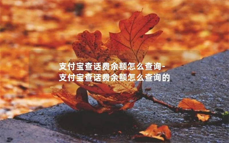 支付宝查话费余额怎么查询-支付宝查话费余额怎么查询的