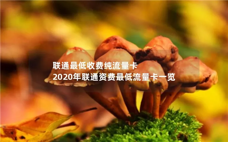 联通最低收费纯流量卡 2020年联通资费最低流量卡一览